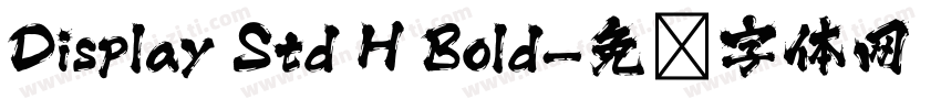Display Std H Bold字体转换